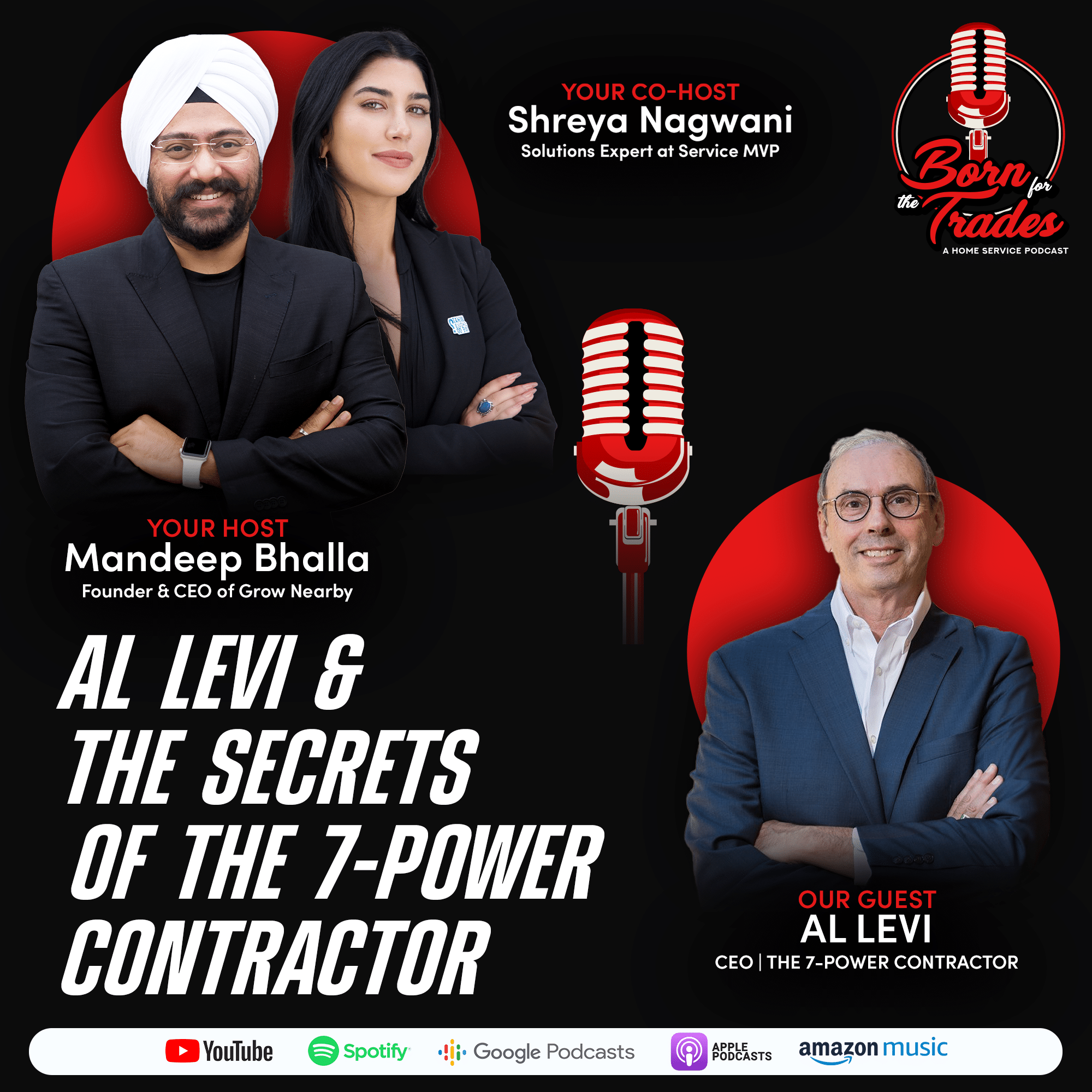 Al Levi & The Secrets of the 7-Power Contractor